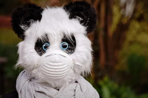 BigAzart Casino Support